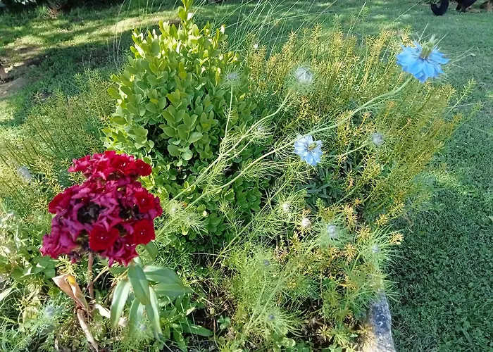 Kemping Ferme De Ussau Betchat